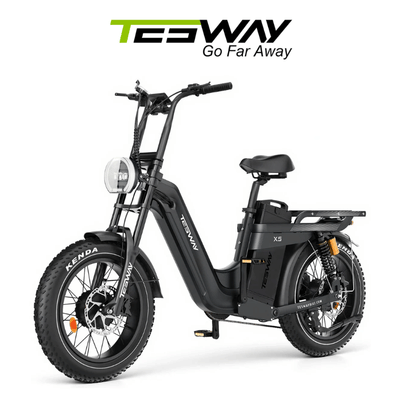 tesway-e-bike