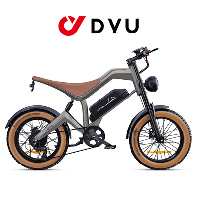 dyu-e-bike