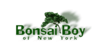 Bonsai Boy coupons